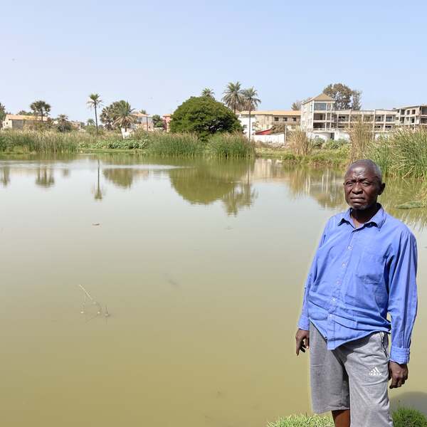 Hope in the horizon: WACA ushers in the promise of a new era for families devastated by flooding in The Gambia